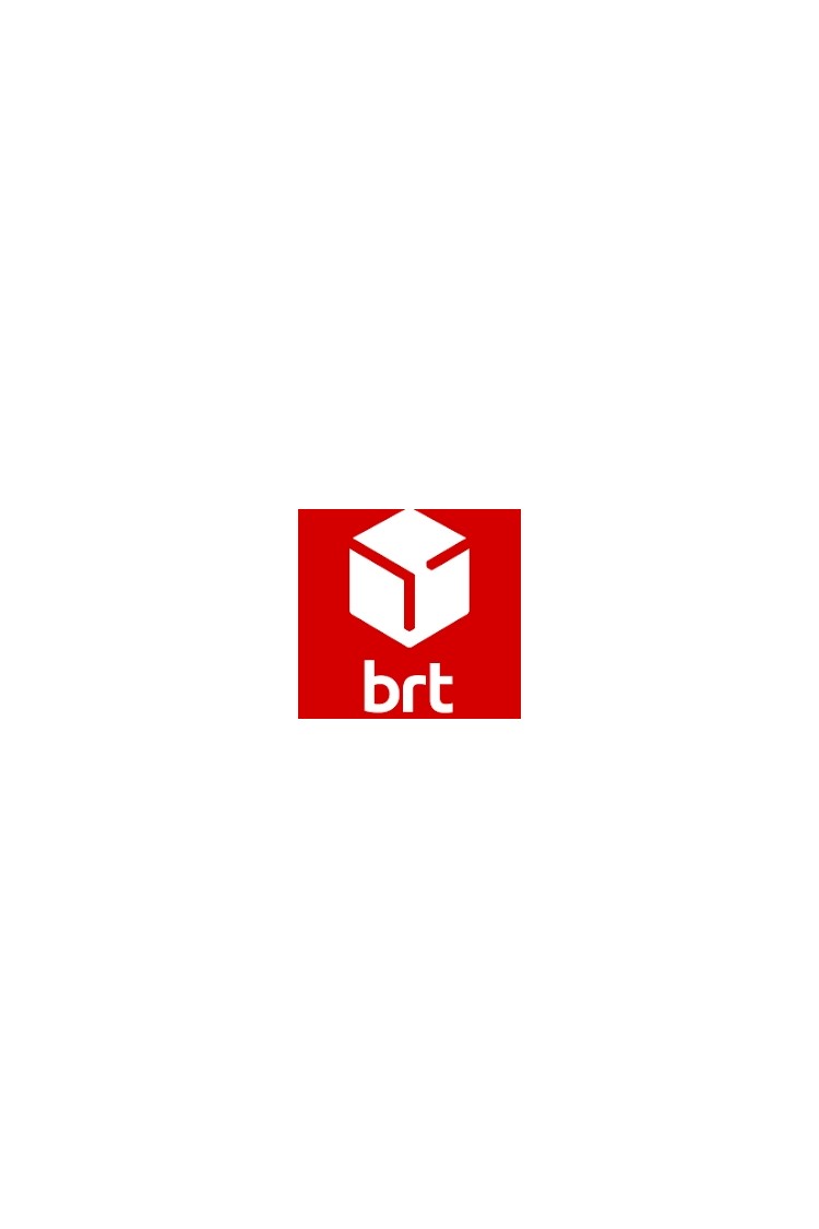 BRT courier BRT courier