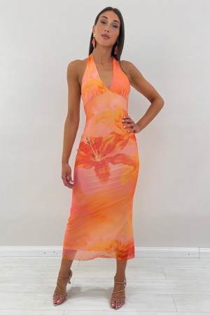 Longue robe tropicale dégradé longue robe tropicale robe de placage tropical longe