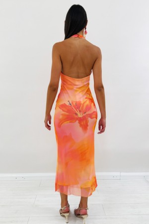 Longue robe tropicale dégradé longue robe tropicale robe de placage tropical longe