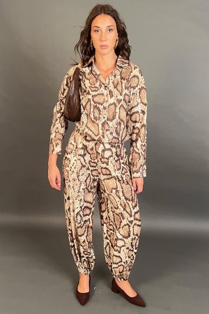 Camisa y pantalones coordinados de Molly con fantasía y alambres de Animalier en Lurex Gold Coordinó a Molly Shirt y pantalones 